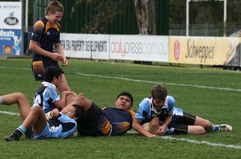 Buckley Shield Semi Final - Westfields SHS v Matraville SHS action (Photo's : ourfootymedia)