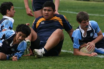 Buckley Shield Semi Final - Westfields SHS v Matraville SHS action (Photo's : ourfootymedia)