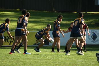 WESTFIELDS Sports High School v ENDEAVOUR Sports High School NSWCHS Buckley Shield Match (Photo : OurFootyMedia)