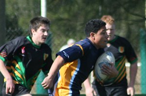 Westfields SHS Vs Illawarra SHS (photo : ourfooty media)