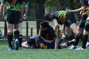 Westfields SHS Vs Illawarra SHS (photo : ourfooty media)