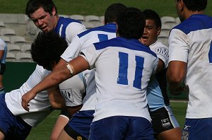 Cronulla Sharks v Canterbury Bulldogs SG Ball 1/4 Final Action (Photo : ourfootymedia)