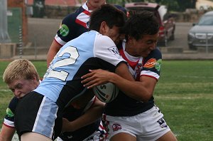 Sydney Roosters v Cronulla Sharks Rnd 7 Harold Matthews Cup Action (Photo's : Steve Montgomery / OurFootyTeam.com)