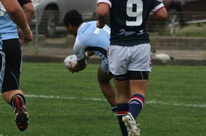 Sydney Roosters v Cronulla Sharks Rnd 7 Harold Matthews Cup Action (Photo's : Steve Montgomery / OurFootyTeam.com)