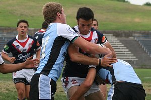 Sydney Roosters v Cronulla Sharks Rnd 7 Harold Matthews Cup Action (Photo's : Steve Montgomery / OurFootyTeam.com)