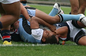 Sydney Roosters v Cronulla Sharks Rnd 7 Harold Matthews Cup Action (Photo's : Steve Montgomery / OurFootyTeam.com)