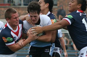 Sydney Roosters v Cronulla Sharks Rnd 7 Matthews Cup Action (Photo's : Steve Montgomery / OurFootyTeam.com)