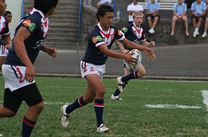 Sydney Roosters v Cronulla Sharks Rnd 7 Matthews Cup Action (Photo's : ourfootymedia)