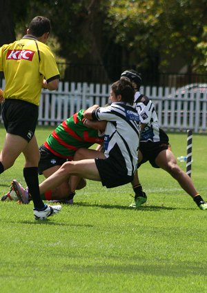 Souths Rabbitohs v Wests MAGPIES HMC trial (Photo : OurFootyMedia 