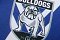 Canterbury - Bankstown Bulldogs harold Matthews Cup