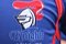 Newcastle Knights Toyota Cup