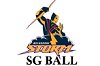 Melbourne Storm SG Ball 