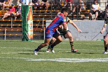 NSW Cup Qualifying Final Action - Winsor Wolves v Newcastle Knights (Photo : steve monty / OurFootyMedia) 