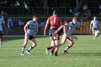 NSW Cup Qualifying Final Action - Nth Sydney Bears v Cronulla Sharks (Photo : steve monty / OurFootyMedia) 