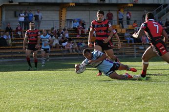 Penani Manumalealii dives over for a try in the NSW Cup Qualifying Final Action - Nth Sydney Bears v Cronulla Sharks action (Photo : steve monty / OurFootyMedia) 