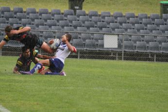 Penrith PANTHERS v Canterbury Bankstown BULLDOGS SG Ball Cup - Semi Final Action (Photo : OurFootyMedia) 