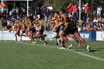 Penrith PANTHERS v Balmain TIGERS SG Ball Cup - GRAND Final 2nd HALF Action (Photo : OurFootyMedia) 