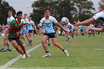 Cronulla SHARKS v Souths RABBITOH'S SG Ball Cup Trial Action (Photo : OurFootyMedia) 