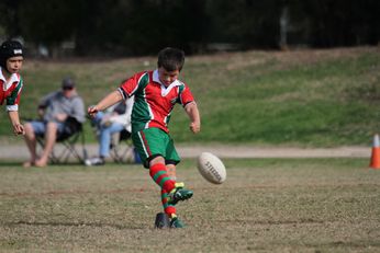 Cronulla Sharks Schoolboys knockout Competition - Public School Action (Photo : steve monty / OurFootyTeam.com) 