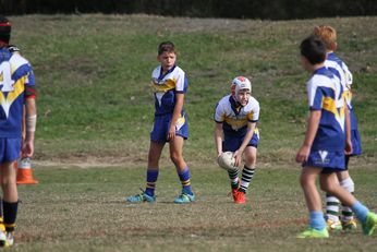 Cronulla Sharks Schoolboys knockout Competition - Public School Action (Photo : steve monty / OurFootyTeam.com) 