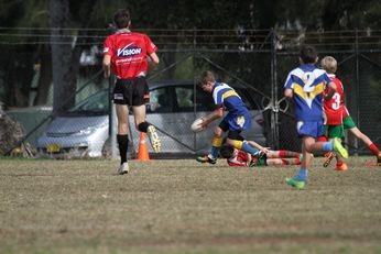 Cronulla Sharks Schoolboys knockout Competition - Public School Action (Photo : steve monty / OurFootyTeam.com) 