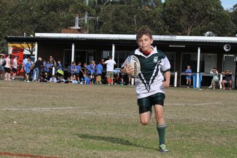 Cronulla Sharks Schoolboys knockout Competition - Public School Action (Photo : steve monty / OurFootyTeam.com) 