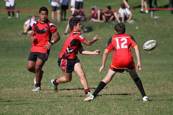 Endeavour SHS v Illawarra SHS - nswchs Buckley Shield Action (Photo : Steve Monty / OurFootyMedia) 