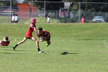 Endeavour SHS v Illawarra SHS - nswchs Buckley Shield Action (Photo : Steve Monty / OurFootyMedia) 