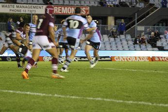 Cronulla SHARKS v Manly SEAEAGLES NSW Cup Rnd 15 (Photo : Steve Monty / OurFootyMedia) 