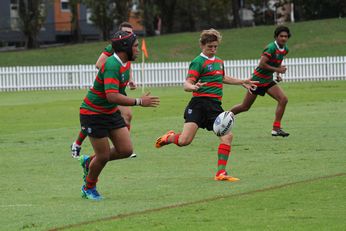 South Sydney RABBITOH'S v Melbourne STORM - Mattys Cup - Rnd 3 ACTION (Photo : steve monty / OurFootyMedia) 