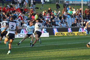 U20s Holden Cup - Cronulla Sharks v Nth Queensland Cowboys - Rnd 22 action Photo's (Photo : steve montgomery / OurFootyTeam.com)