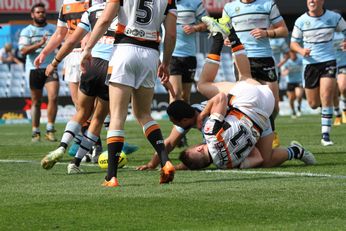 U20s Holden Cup - Cronulla Sharks v WestsTigers - Rnd 24 action Photo's (Photo : steve montgomery / OurFootyTeam.com)