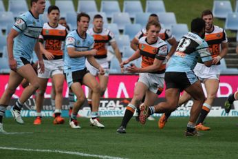 Cronulla Sharks v WestsTigers - Rnd 24 U20s Holden Cup - action Photo's (Photo : steve montgomery / OurFootyTeam.com)