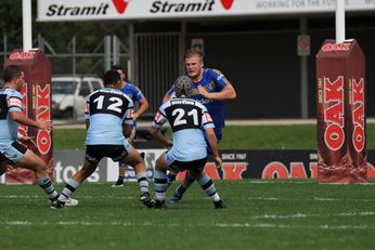 Parramatta Eels v Cronulla Sharks SG Ball Cup Elimination Final Action (Photo : steve monty / OurFootyTeam.com)