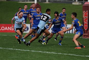 2015 SG Ball Cup Elimination Final Action Photo's - Parramatta Eels v Cronulla Sharks (Photo : steve montgomery / OurFootyTeam.com)