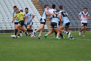 Western Suburbs Magpies v Cronulla Sharks Harold Matthews Cup Semi Final Action (Photo : steve montgomery / OurFootyTeam.com)