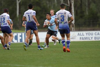 Canterbury - Bankstown BULLDOGS v Cronulla Sharks Harold Matthews Cup Preliminary Final Action (Photo : steve montgomery / OurFootyTeam.com)