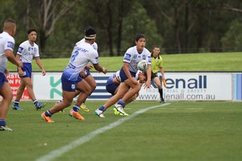 Canterbury - Bankstown BULLDOGS v Cronulla Sharks Harold Matthews Cup Preliminary Final Action (Photo : steve montgomery / OurFootyTeam.com)
