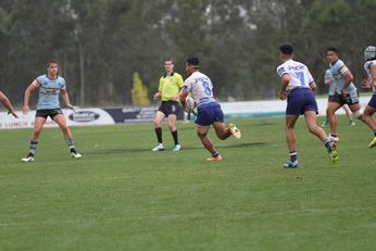 NSWRL Harold Matthews Cup Preliminary Final Canterbury - Bankstown BULLDOGS v Cronulla Sharks (Photo : steve montgomery / OurFootyTeam.com)