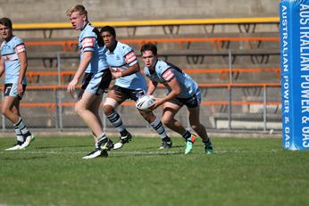 Parramatta Eels v Cronulla Sharks Harold Matthews Cup GRAND FINAL Action Photo's (Photo : steve montgomery / OurFootyTeam.com)
