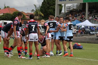 Sharks Mattys Cup celebrate a team try (Photo : steve monty / OurFootyTeam.com) 
