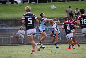 Sydney Roosters v Cronulla Sharks Harold Matthews Cup Rnd 4 - 2nd Half Action (Photo : steve montgomery / OurFootyTeam.com)