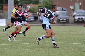 Sydney Roosters v Cronulla Sharks Harold Matthews Cup Rnd 4 - 2nd Half Action (Photo : steve montgomery / OurFootyTeam.com)