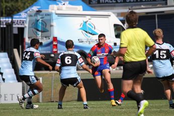 Cronulla SHARKS v Newcastle Knights Mattys Cup Rnd 5 2nd Half Action (Photo : steve monty / OurFootyTeam.com)