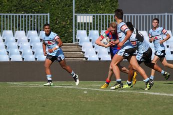 Cronulla SHARKS v Newcastle Knights Mattys Cup Rnd 5 2nd Half Action (Photo : steve monty / OurFootyTeam.com)