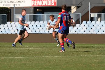 Cronulla SHARKS v Newcastle Knights SG Ball Cup 2nd Half Rnd 5 TeamPhoto (Photo : steve montgomery / OurFootyTeam.com)