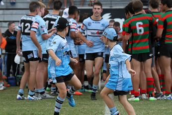 South Sydney RABBITOH'S v Cronulla Sharks SG Ball Cup Rnd 9 (Photo : steve montgomery / OurFootyTeam.com)