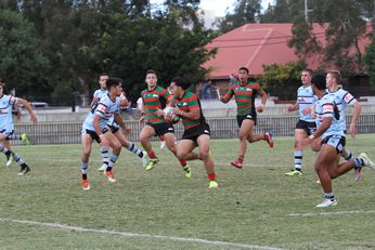 South Sydney RABBITOH'S v Cronulla Sharks SG Ball Cup Rnd 9 (Photo : steve montgomery / OurFootyTeam.com)