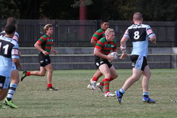 South Sydney RABBITOH'S v Cronulla Sharks SG Ball Cup Rnd 9 (Photo : steve montgomery / OurFootyTeam.com)