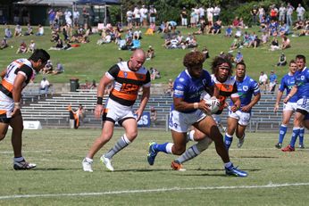 NSWCUP Rnd 1 - Newtown Jets / Sharks v WestsTigers - 1st Half Action (Photo : steve montgomery / OurFootyTeam.com)